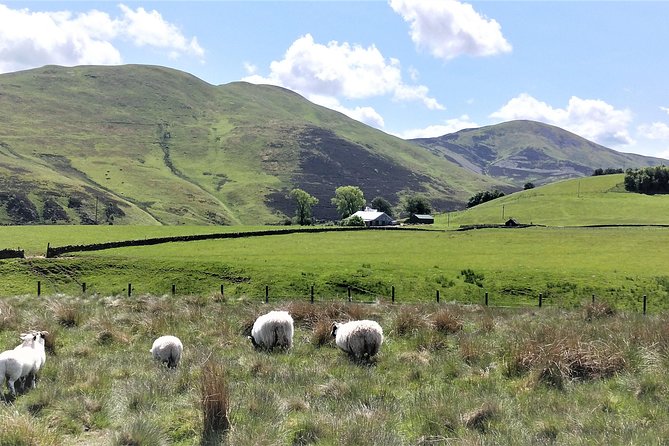 Hill & Nature Hike - Discover Real Edinburgh With a Local Expert - Guided Tour Experience