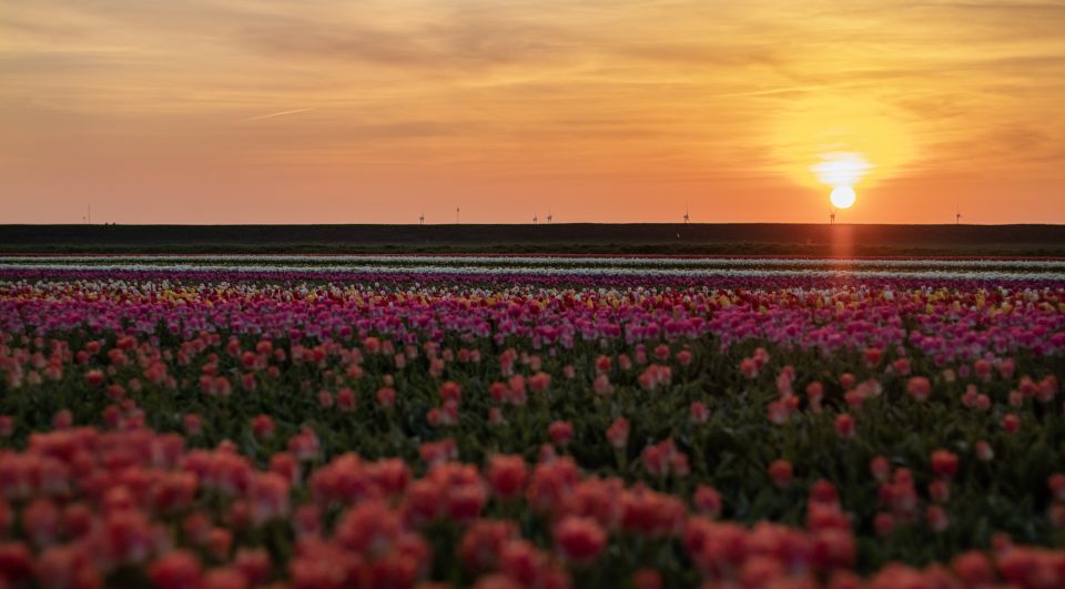 Hillegom: Guided E-Bike Tour at Sunset Near Keukenhof - Inclusions and What to Bring