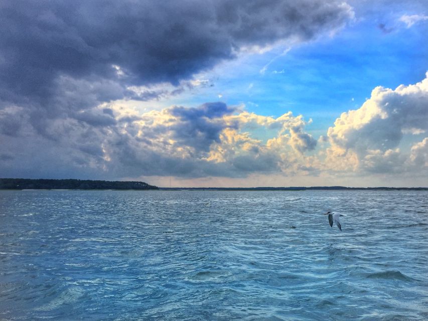 Hilton Head Island: 2-Hour Guided Creek Cat Tour - Meeting Point and Directions