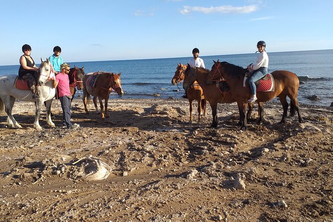 Horse Riding--Explore Secret Thera - Accessibility and Participant Suitability