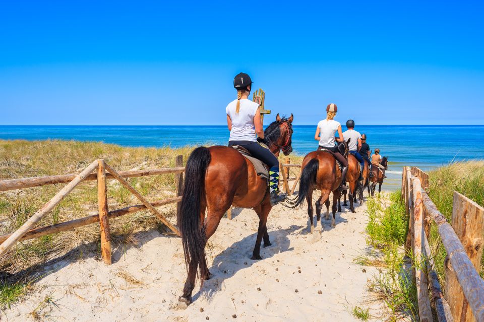 Horse Riding in Kusadasi - Serene Pine Forest Exploration