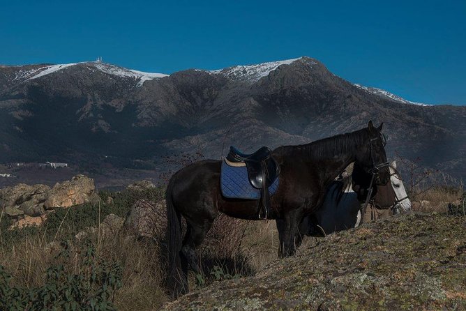 Horse Riding Madrid Natural Park - Cancellation Policy