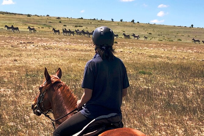 Horse Safari & Beach Ride Western Cape - Preparing for the Safari