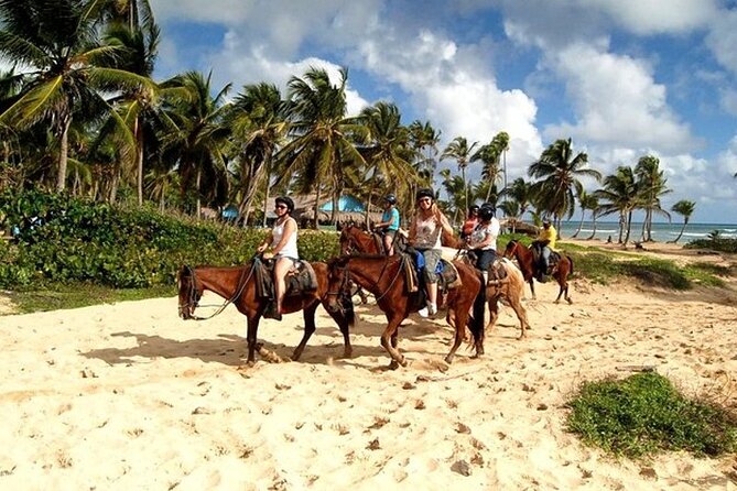 Horseback Riding at Macao Beach - Negative Feedback Highlights