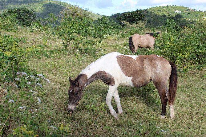 Horseback Riding Experience - Meeting Location and Time