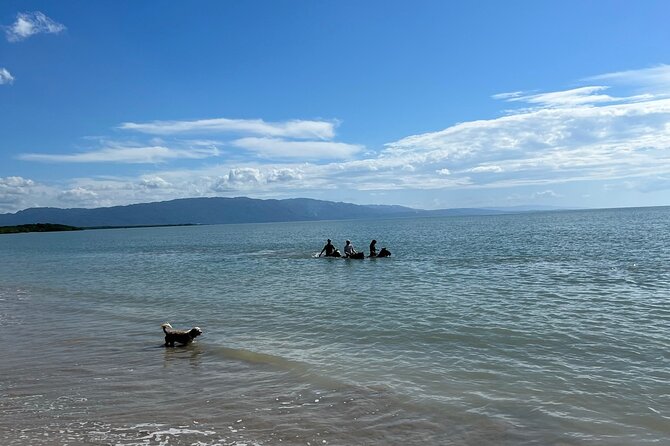 Horseback “Special”- Negril'S Beach Ride N' Swim With Free Photos/Videos - Caribbean Water Trot