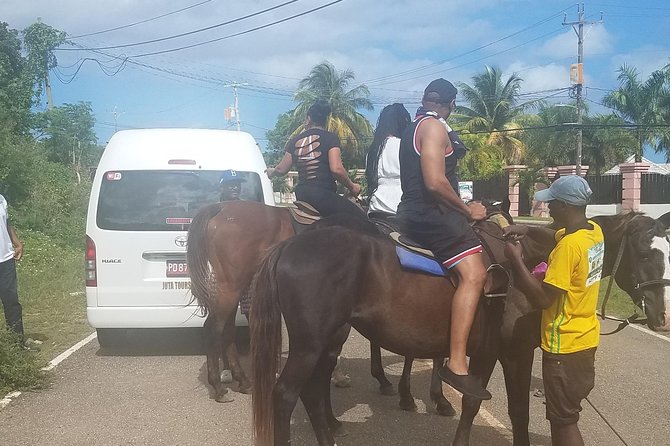 Hour Horseback Riding Guided Tour From Runaway Bay - Pickup Information