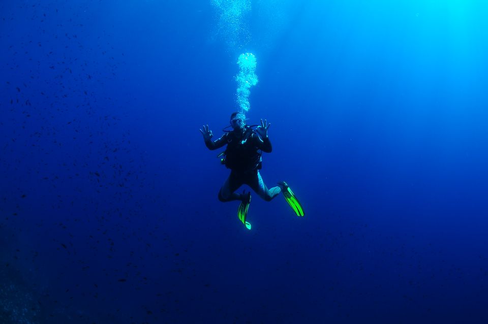 Ibiza: 3.5-Day PADI Open Water Dive Course - Course Duration and Cost