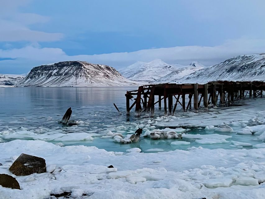 Iceland in a Nutshell, Private Super Jeep - Booking