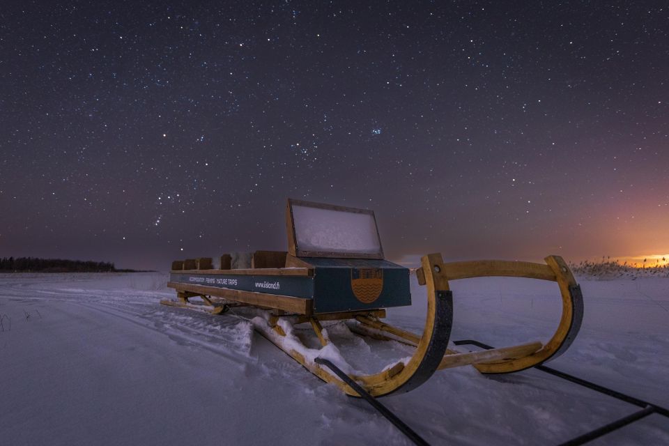 Ii: Snowmobile Sleigh Trip on Frozen Sea Under Starlit Sky - Activity Details