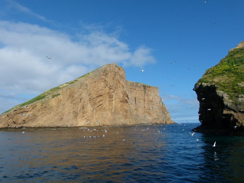 Ilhés Das Cabras in Terceira Island - Natural Landscapes and Birdwatching