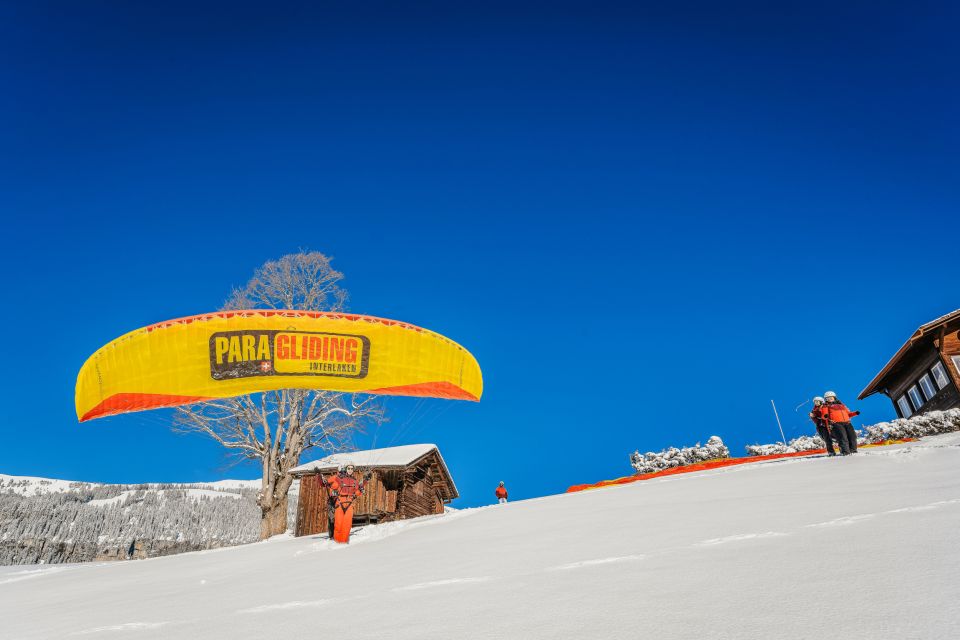 Interlaken: Tandem Paragliding Flight - Group Size and Tour Languages