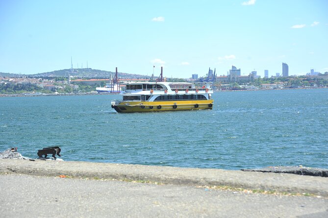 Istanbul: Bosphorus and Golden Horn Cruise With Audio Guide - Pricing