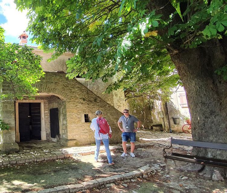 Istria: Guided Tour of Inner Istria With Food Tasting - Inclusions