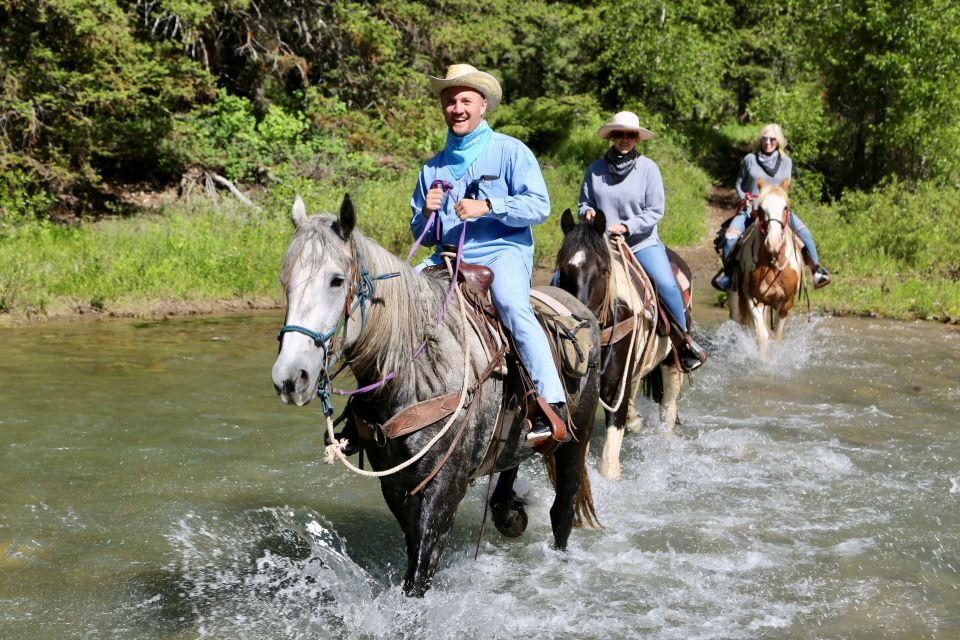 Jackson Hole: Bryan's Flat Guided Scenic Horseback Ride - Additional Information