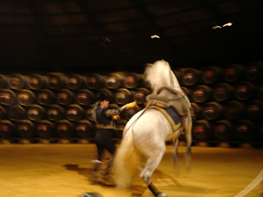 Jerez Private Tour From Seville: Wine and Equestrian Art - Exploration of Cadiz