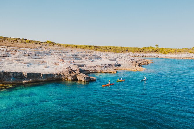 Kayak Tour With Cave Experience - Activity Details