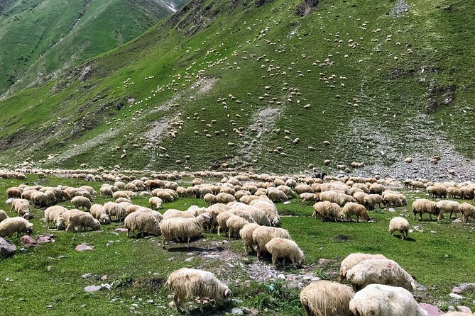 Kazbegi and Trusso Valley Off-Road Adventure - Confirmation and Accessibility