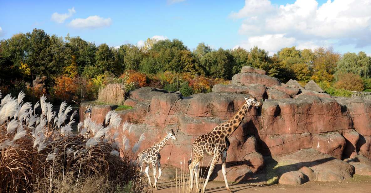 Kerkrade: GaiaZOO Entry Ticket - Treetop Tour and Dino Dome