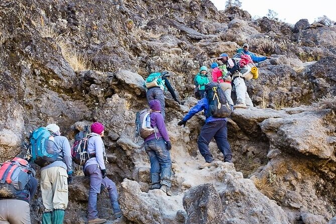 Kilimanjaro 7 Day Private Trekking Experience - Booking and Cancellation Policy