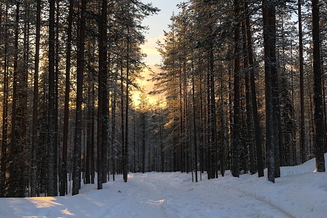 Korouoma National Park and Frozen Waterfalls Hiking Tour - Experiencing Finnish Traditions