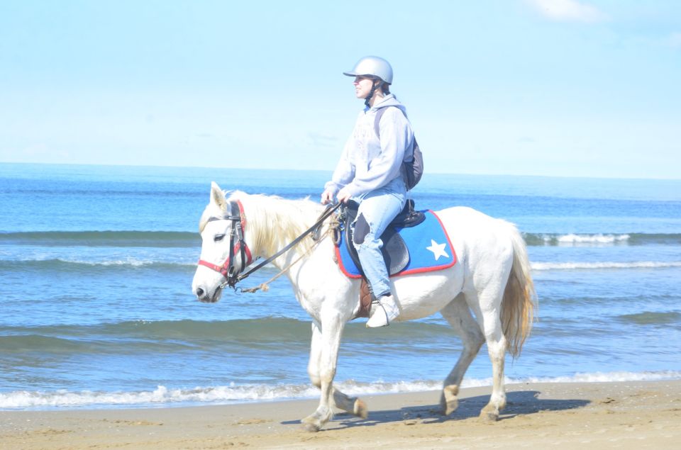 Kusadasi: Beach and Forest Horse Riding Tour - Negative Review Insights