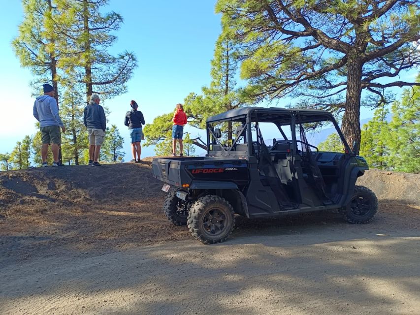 La Palma: Volcano Route Buggy Tour - Experiencing the Thrill of Buggy Driving