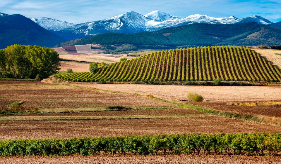 La Rioja Vineyards Private Tour From Bilbao (3 Vineyards) - Inclusions and Exclusions