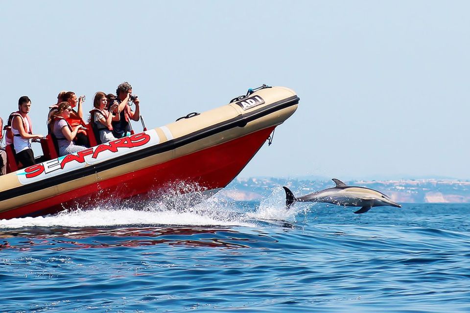 Lagos: Dolphin Watching With Professional Marine Biologists - Customer Feedback Highlights