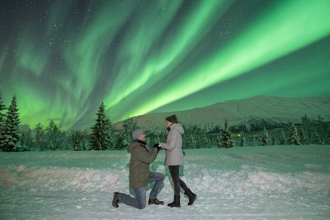 Lapland Northern Lights Tour From Tromso - Dining and Refreshments