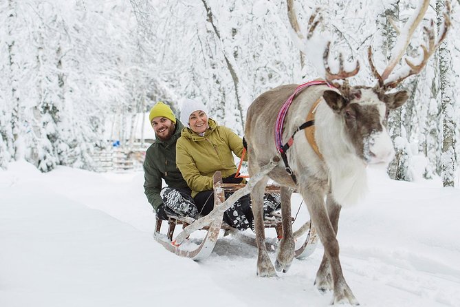 Lapland Reindeer and Husky Safari From Rovaniemi - Reindeer Sleigh Ride