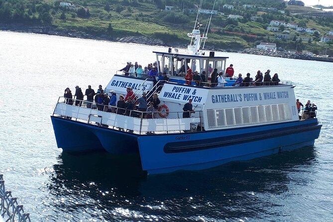 Late Season Puffin & Scenic Coastal Cruise - Safety and Weather Precautions