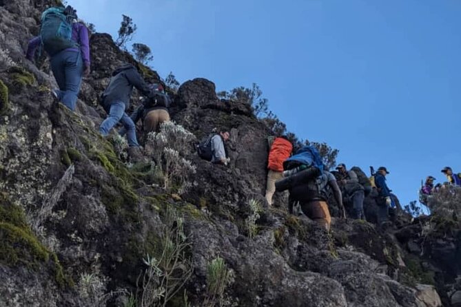 Lemosho Route 8 Days Kilimanjaro Climbing Tour - Excluded Costs