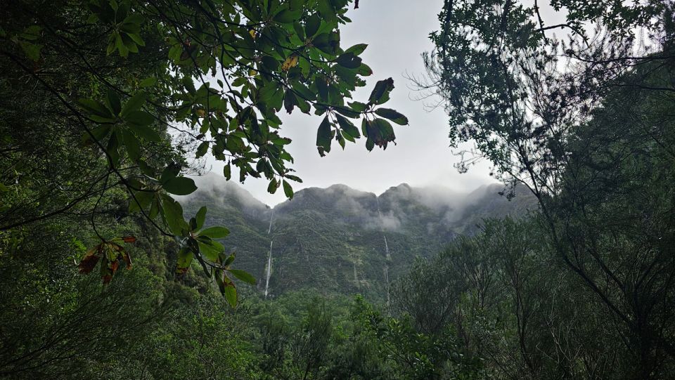 Levada Dos Tornos-Boaventura by Overland Madeira - Immersion in Lush Landscapes