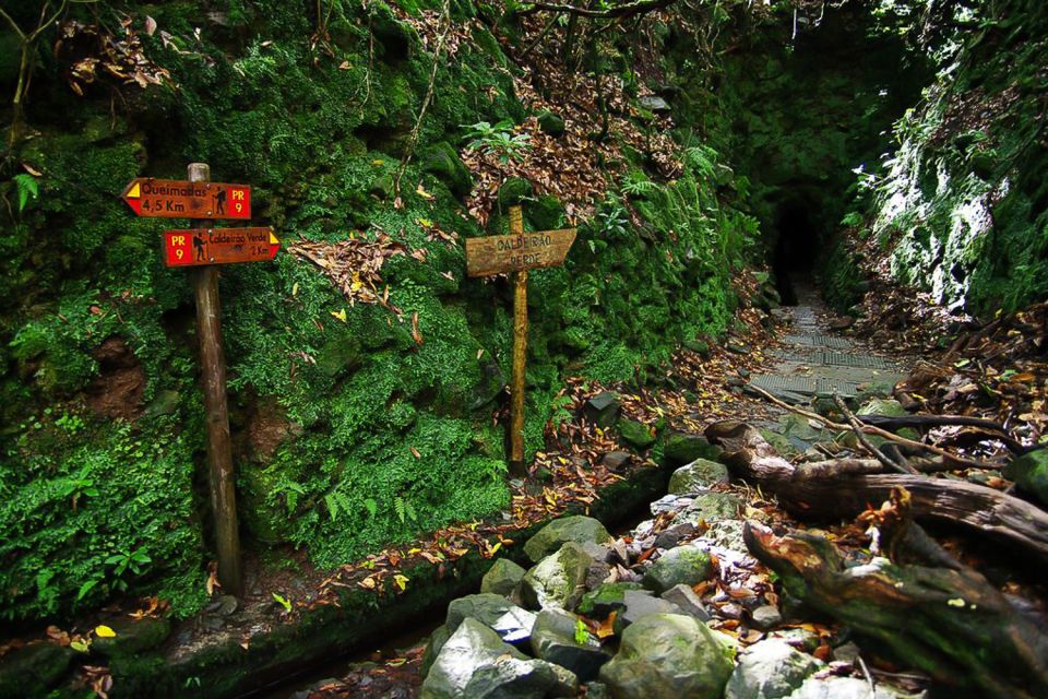 Levada Walk and Caldeirao Verde Waterfalls: Madeira - Scenic Highlights