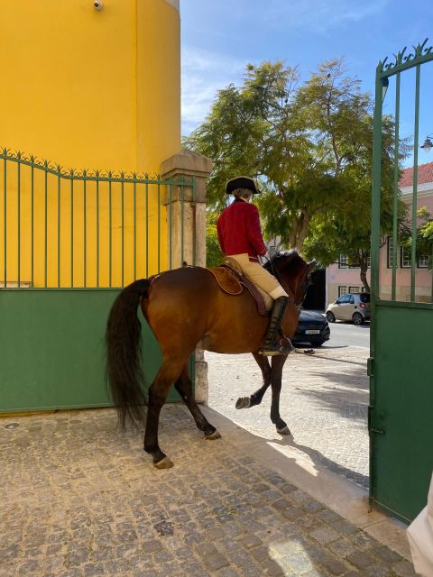 Lisbon: Morning of Equestrian Art With Lusitano Horses - Activity Duration