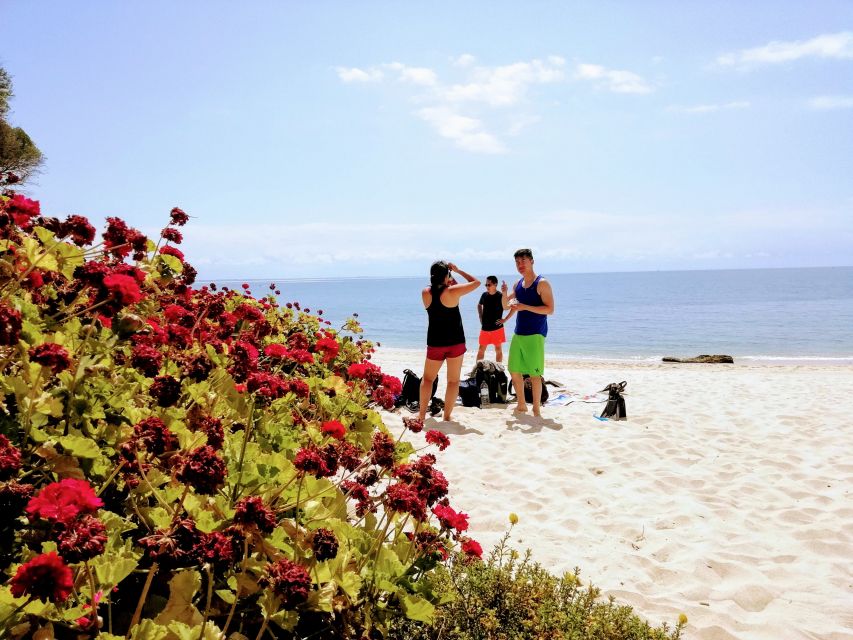 Lisbon: Snorkeling and Wine Tasting in Arrábida - Enjoying the Wine Tasting