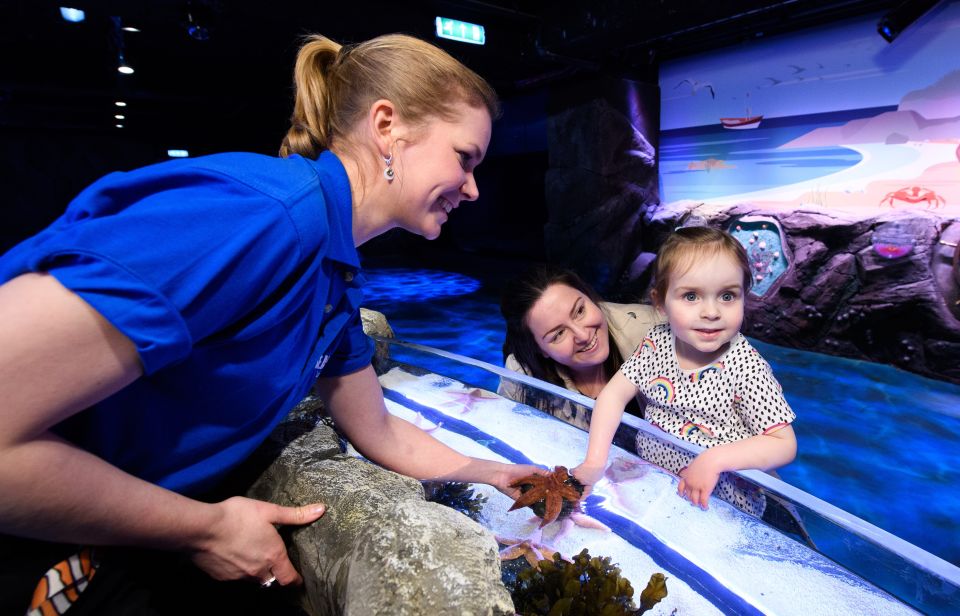 London: Madame Tussauds, SEA LIFE and London Dungeon Entry - Ticket Pricing and Details