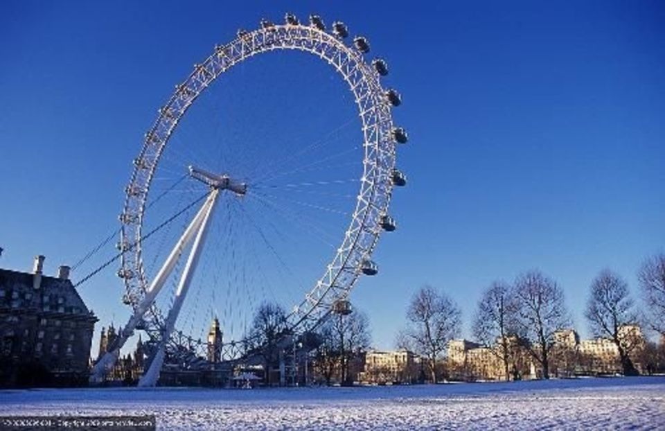 London: Sights and Sounds of Christmas Guided Half-Day Tour - Meeting Point and Cancellation Policy