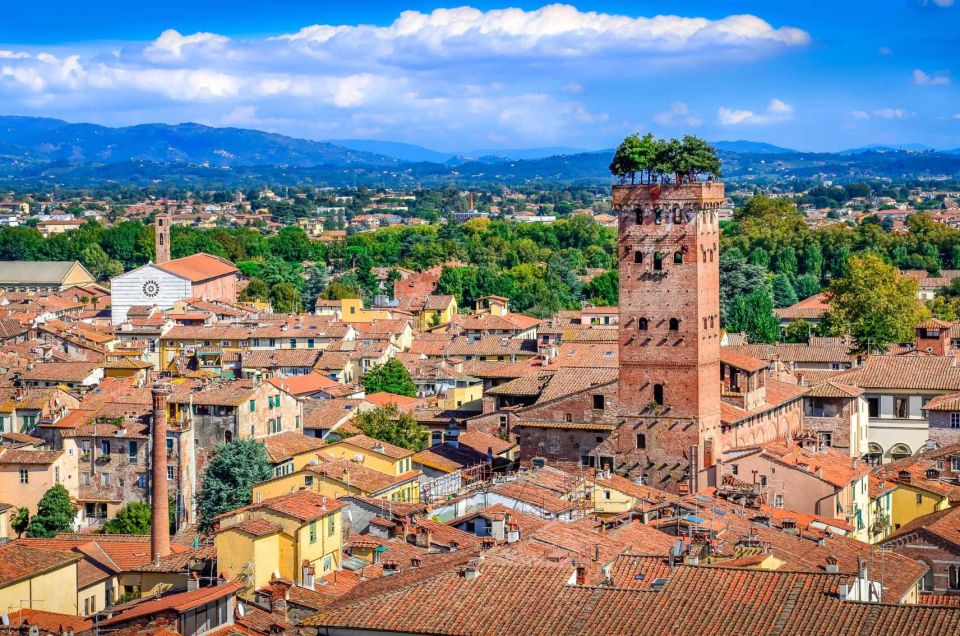 Lucca, Pisa and Livorno From Florence Private Car Tour - Optional Add-ons