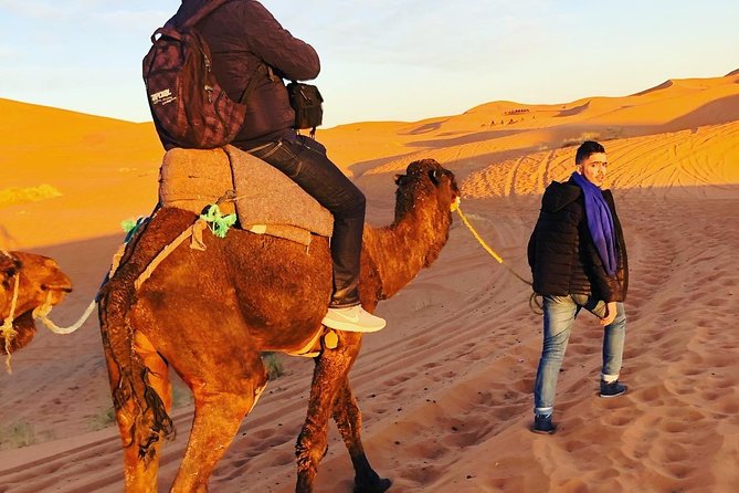 Luxury Overnight Sahara Desert Trip Fez Back to Fez or Marrakech - Group Size and Experience