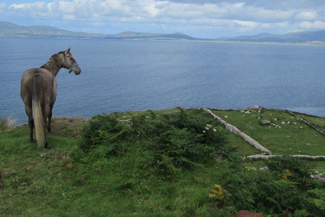 Luxury Photography Day Tour on Ring of Kerry and Skellig Ring - Fully Guided and Chauffeured - Customizable Itinerary