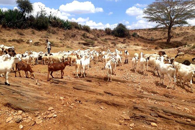 Maasai Village Experience Day Tour - Cancellation Policy