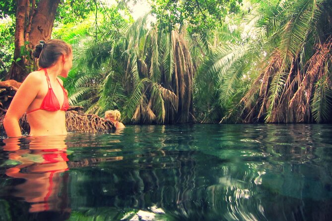 Maasai Village Visit and Chemka Hot-Springs With Hot Lunch. - Tour Inclusions