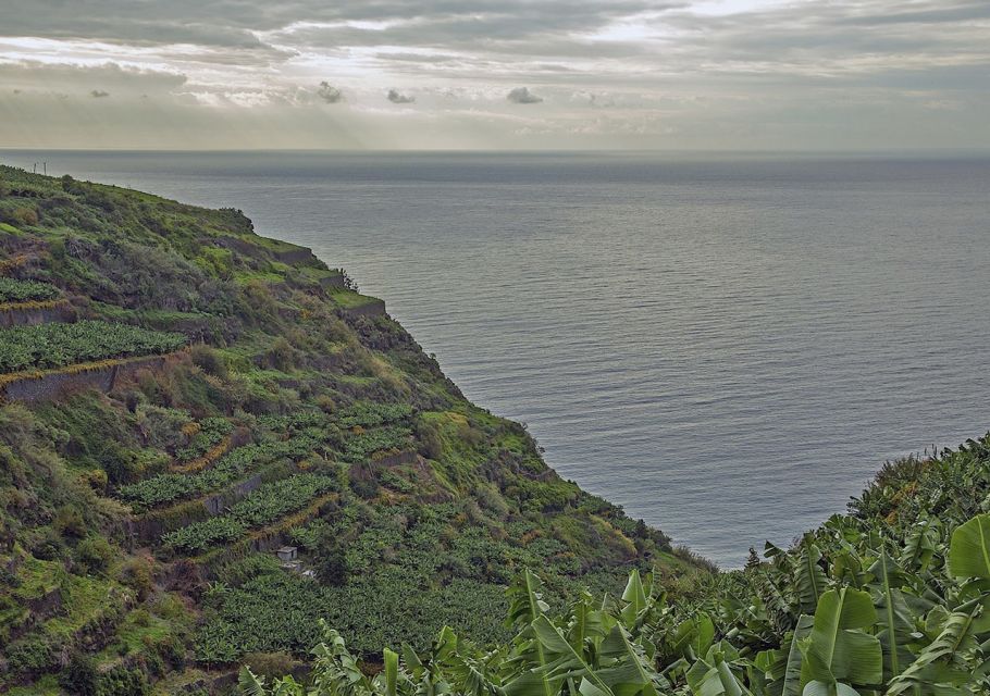 Madeira: Amazing West - Porto Moniz - Natural Saltwater Pools