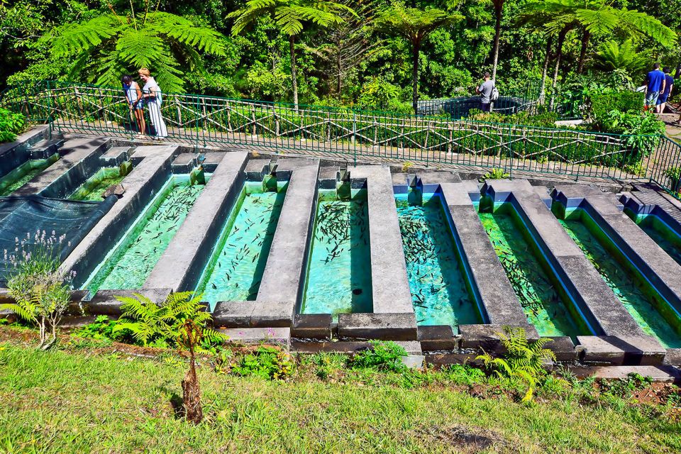 Madeira: Best of the East Tour From Funchal - Exploring Ribeiro Frio