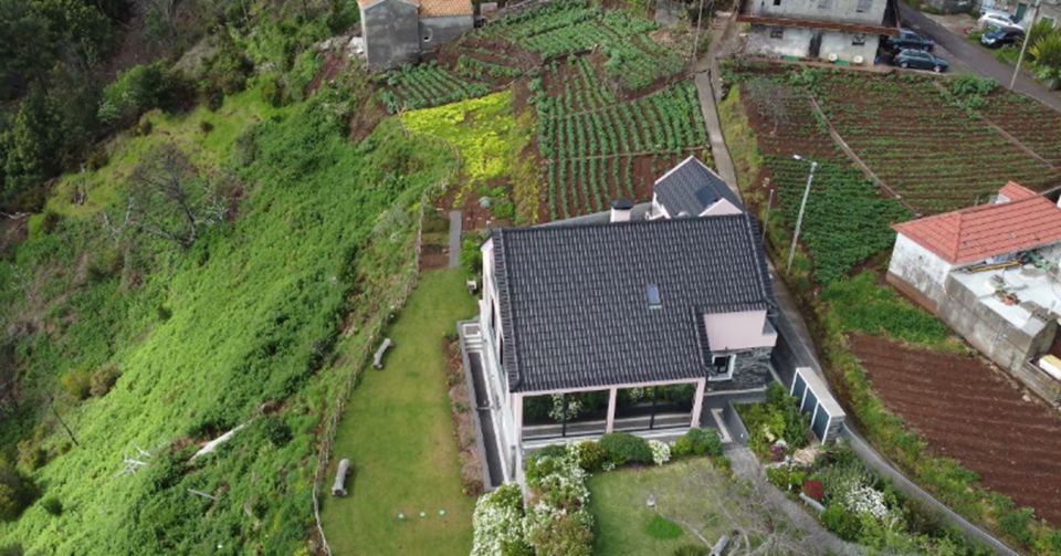 Madeira Cheese Tasting & Tea Tour - Unique Local Products