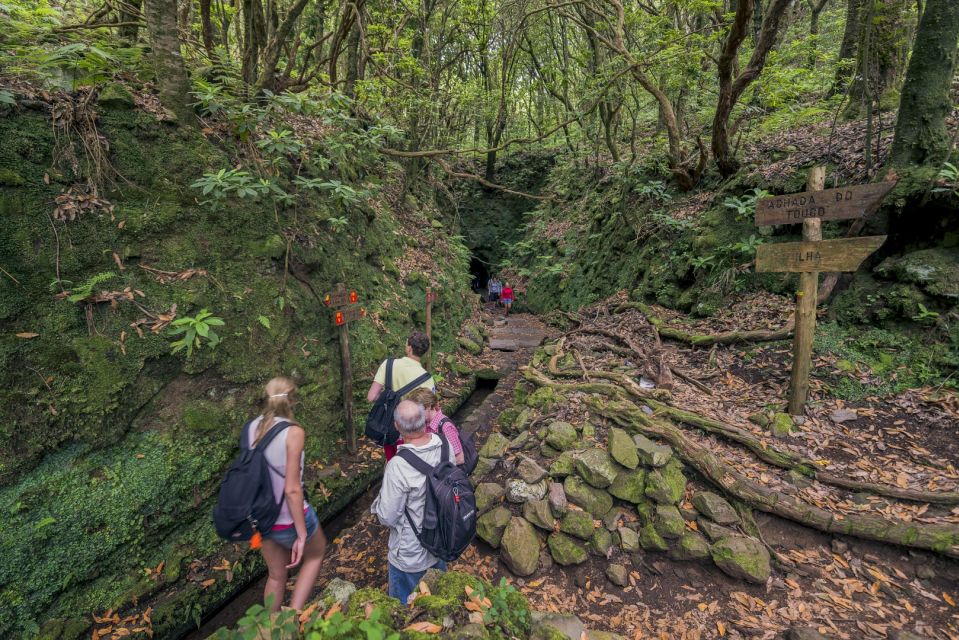 Madeira: Full-Day Laurel Forest Guided Walking Tour - Pricing and Availability