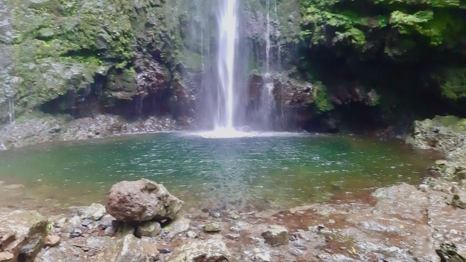 Madeira: Jungle Fever Levada Caldeirao Verde Hike Santana - What to Bring and Important Information