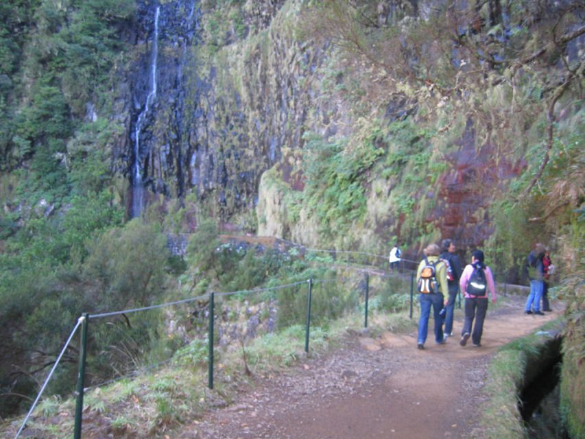 Madeira: Rabaçal, Risco and 25 Fontes Guided Hiking Tour - Language and Pricing